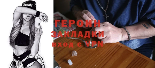 шишки Новодвинск
