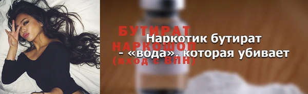 шишки Новодвинск