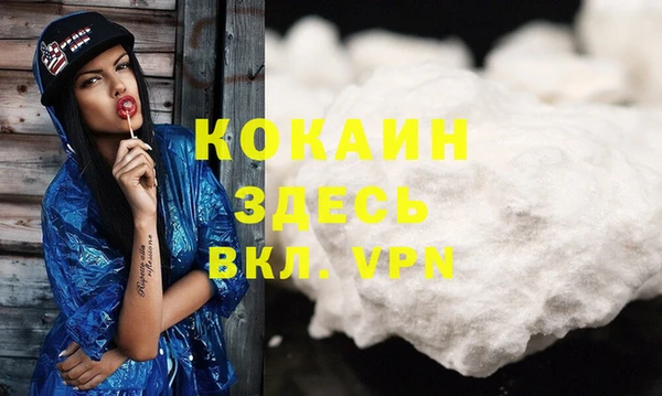 бошки Гусев