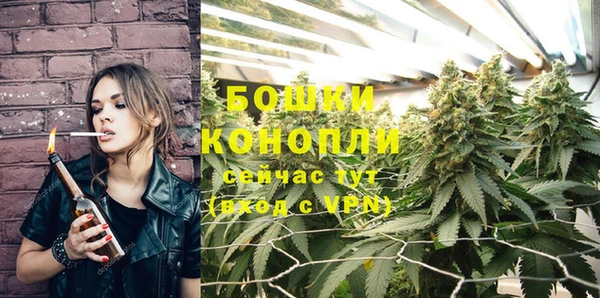 mix Гусиноозёрск