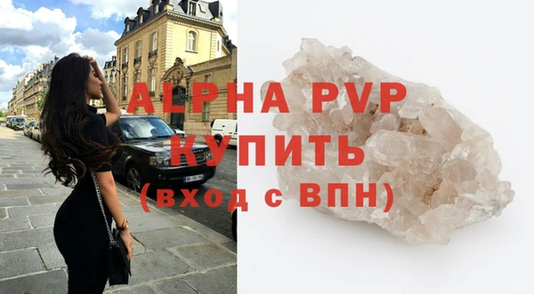 шишки Новодвинск