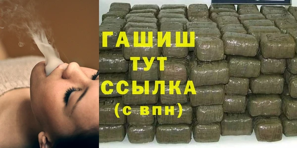 стаф Новозыбков