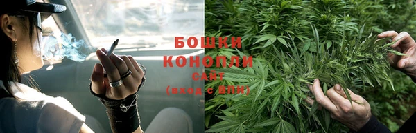 стаф Новозыбков