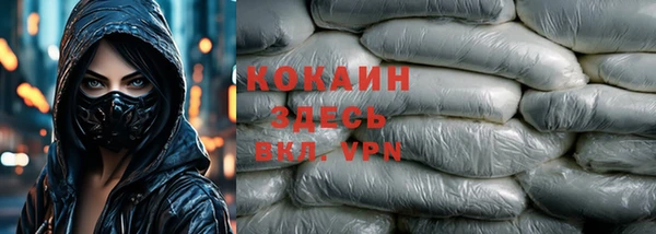 бошки Гусев