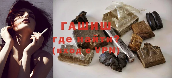 шишки Новодвинск
